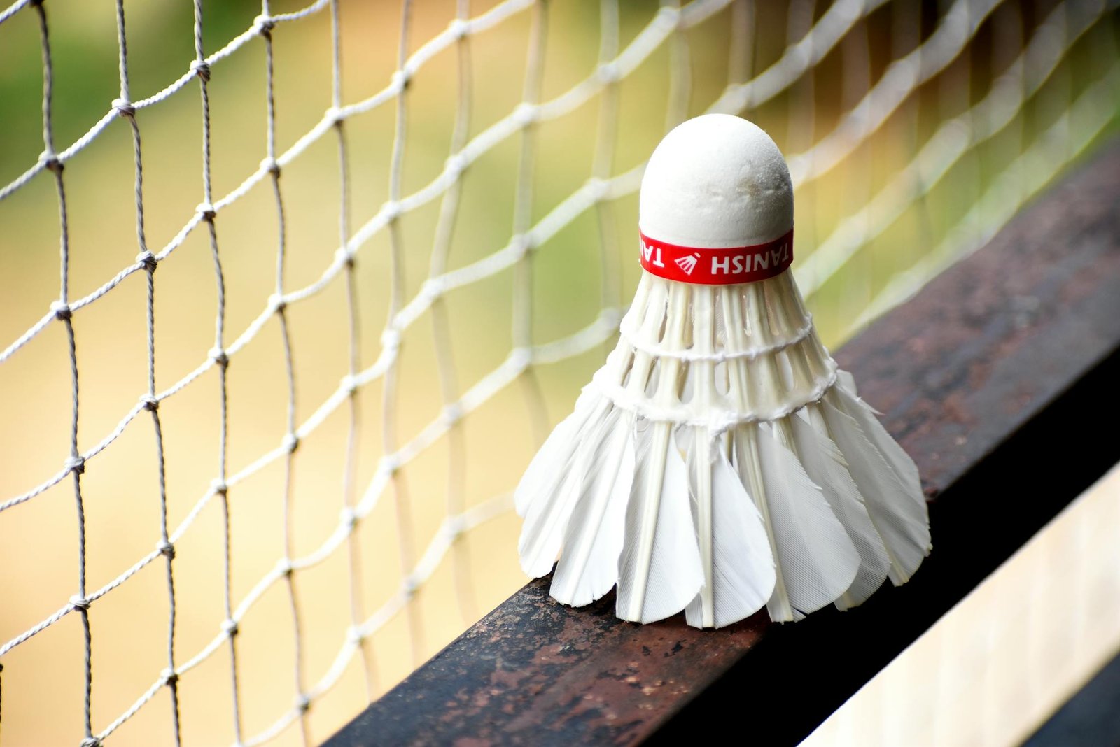 A detailed view of a shuttlecock resting on a badminton net outdoors.